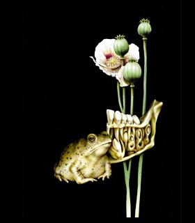 Reprographie papier "Pavot" Azra MANTIS