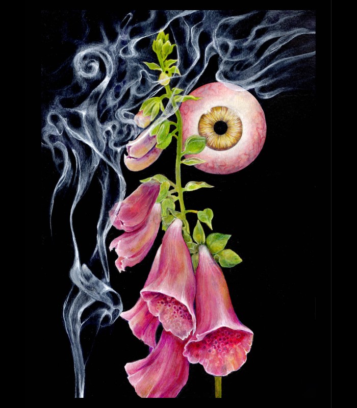 Reprographie papier "Digitale" Azra MANTIS