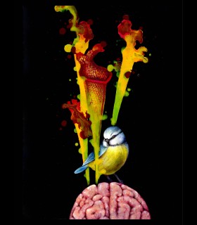 Reprographie papier "Cervelle" Azra MANTIS