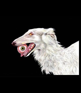 Reprographie papier "Barzoï" Azra MANTIS