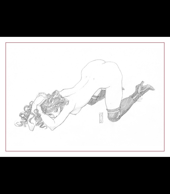 Porte-folio "Les Roses de Vienne" Olivier LEDROIT