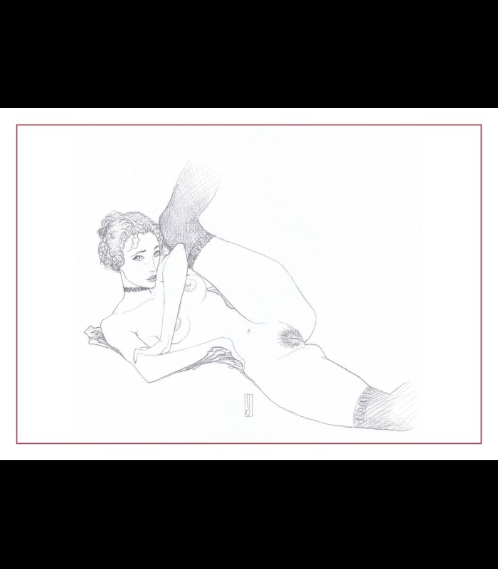 Porte-folio "Les Roses de Vienne" Olivier LEDROIT