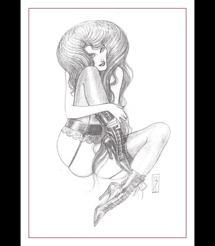 Porte-folio "Les Roses de Vienne" Olivier LEDROIT