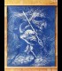 Cyanotype sur papier "L'ombre de l'Épervier" Tom CUZOR