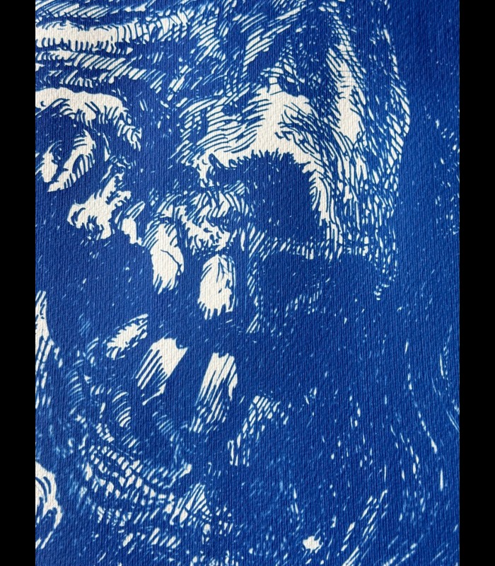 Cyanotype sur papier "L'ombre de l'Épervier" Tom CUZOR