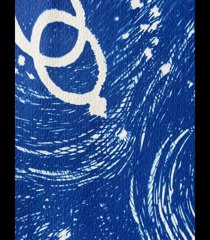 Cyanotype sur papier "L'ombre de l'Épervier" Tom CUZOR