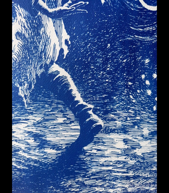 Cyanotype sur papier "L'ombre de l'Épervier" Tom CUZOR