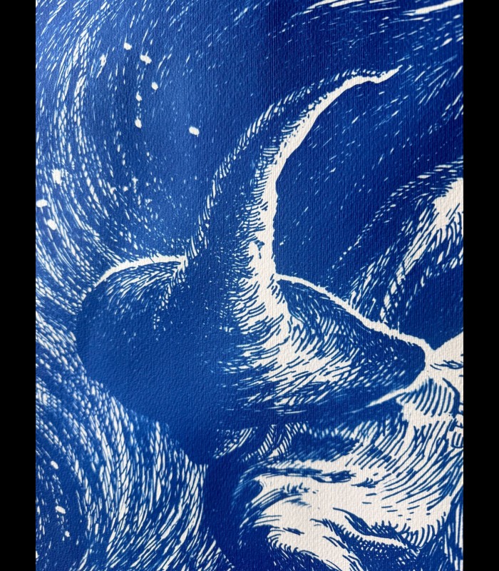Cyanotype sur papier "L'ombre de l'Épervier" Tom CUZOR