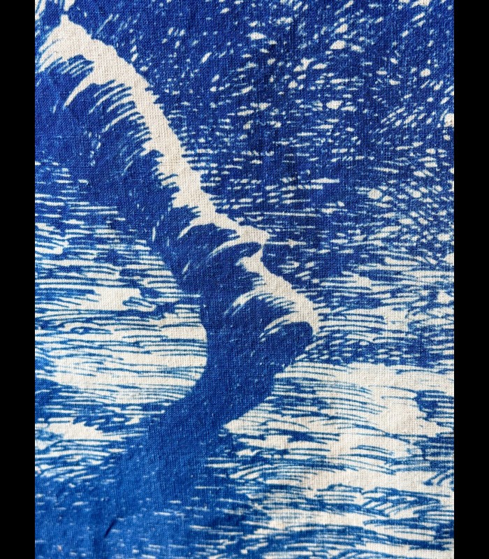 Cyanotype sur TOILE "L'ombre de l'Épervier" Tom CUZOR