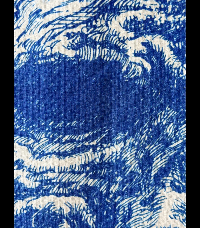 Cyanotype sur TOILE "L'ombre de l'Épervier" Tom CUZOR