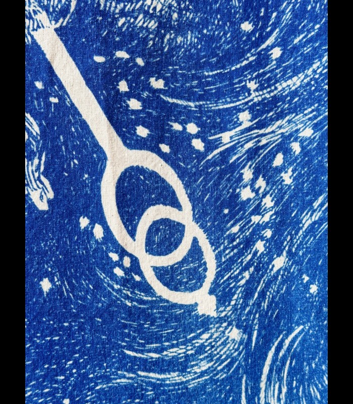 Cyanotype sur TOILE "L'ombre de l'Épervier" Tom CUZOR