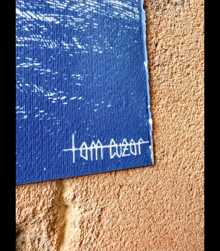 Cyanotype sur papier "L'ombre de l'Épervier" Tom CUZOR