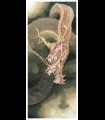 Reprographie papier " Dragon " Théo FIEVEZ