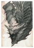 Draco – Impression d’art de SENO