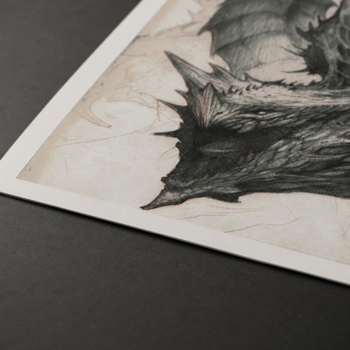 Draco – Impression d’art de SENO