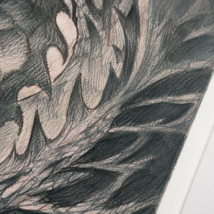 Draco – Impression d’art de SENO