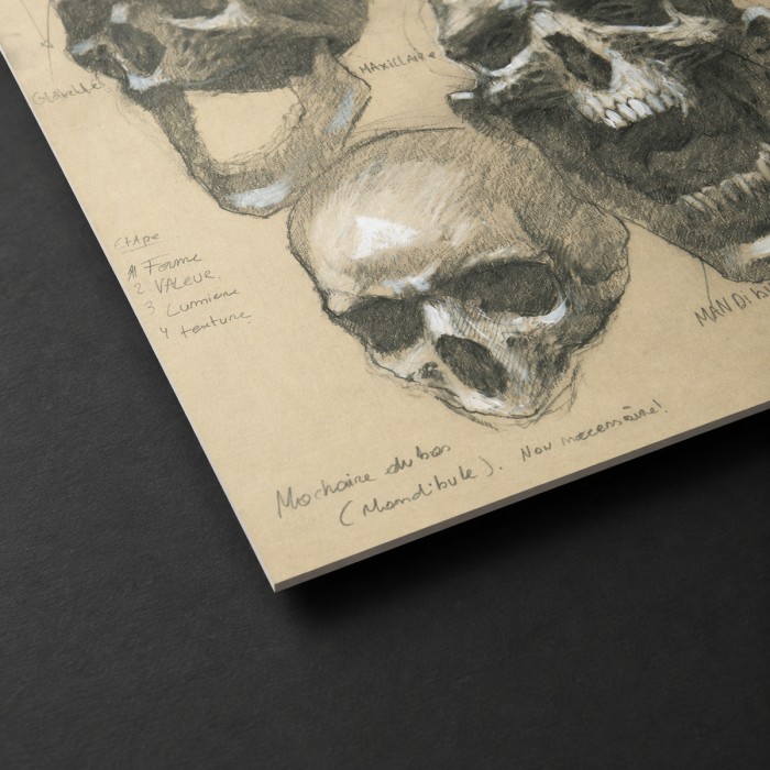 Étude du crâne – Impression d’art Black SENO