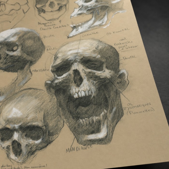 Étude du crâne – Impression d’art Black SENO