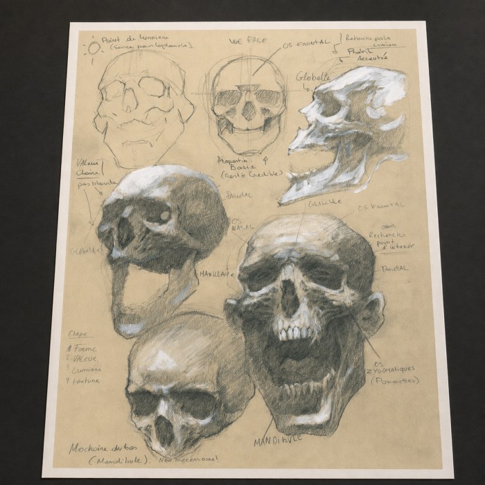 Étude du crâne – Impression d’art Black SENO