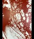 Tirage digital "TERROR SYLAK 2018" Quentin Utopia