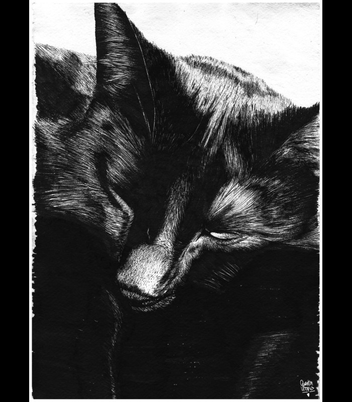 Tirage digital "TOTO" Quentin Utopia