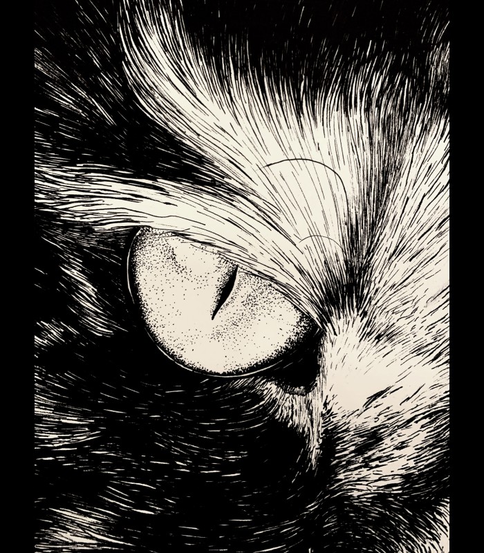 Impression d'art "RIPLEY" Quentin Utopia
