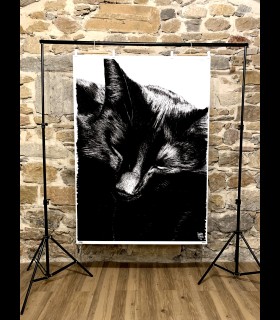 Impressions d'art "TOTO" Quentin Utopia