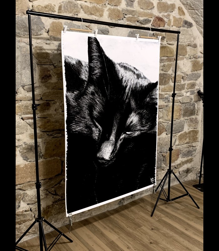 Impressions d'art "TOTO" Quentin Utopia