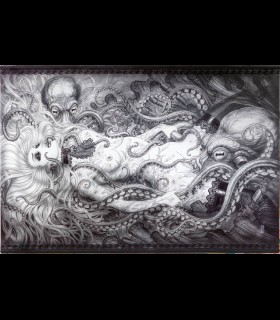 Reprographie papier Rêve du pêcheur dentelle OLIVIER LEDROIT