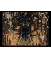 Tirage digital "Sha the shadow one" OLIVIER LEDROIT