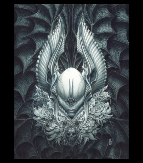 Tirage digital "Bat skull" OLIVIER LEDROIT