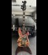 Basse Fender "Vampire Hellriser" Olivier Ledroit et Georges Douna