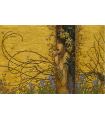 Tirage A3 "LE PARAVENT" Olivier Ledroit