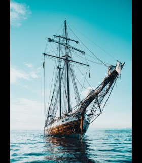 Reprographie papier "OPAL OF THE SEAS" Gaui H Pic