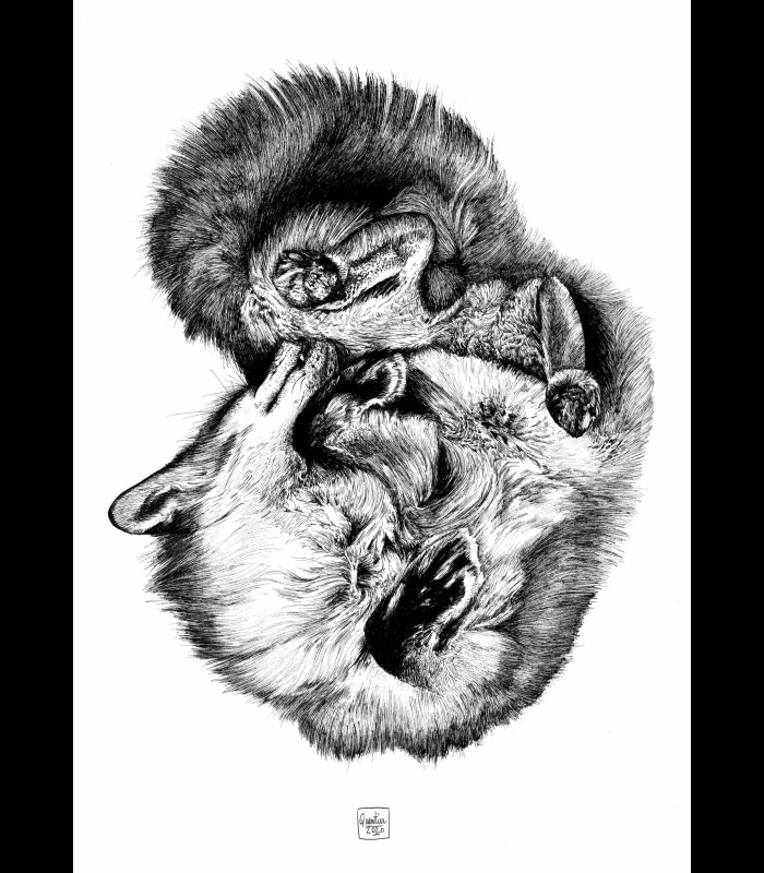 Reprographie "JUNIPER" Quentin Utopia