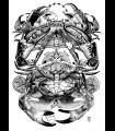 Reprographie "TIM" Quentin Utopia