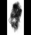 Reprographie "GRIFFITH / FEMTO" Jeanchoir