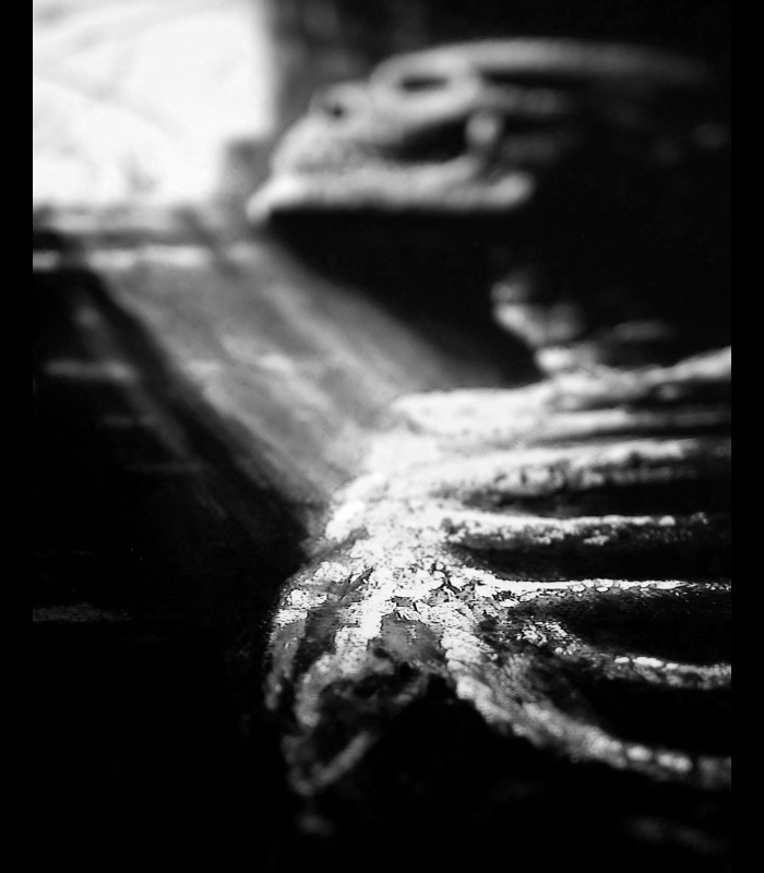 Reprographie papier "SILΞNTIUM" Eliot Kohek